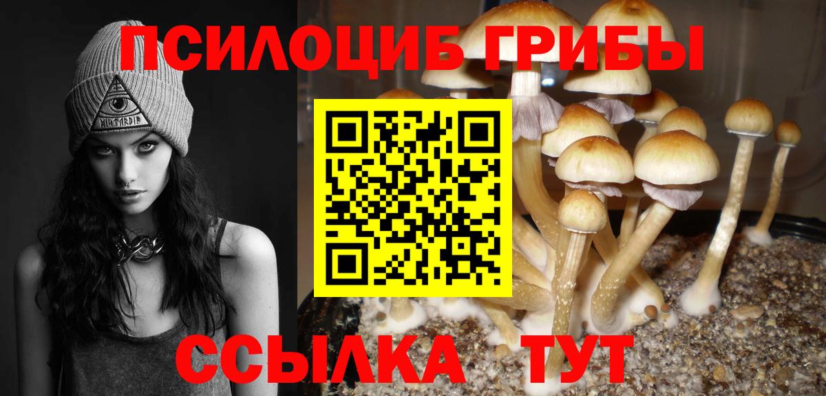 Галлюциногенные грибы мухоморы  цены наркотик  Ленинск-Кузнецкий  Вход с VPN 